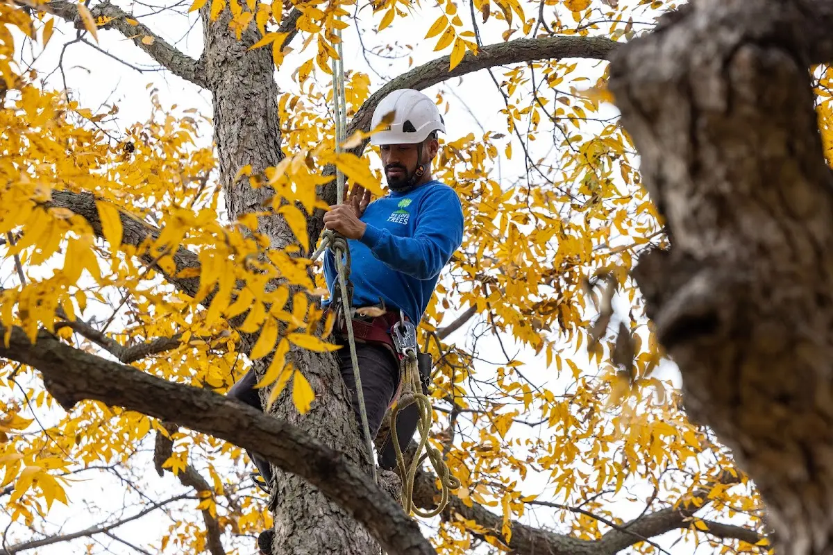 Skilled Storm Damage Cleanup crew working in Wellborn
