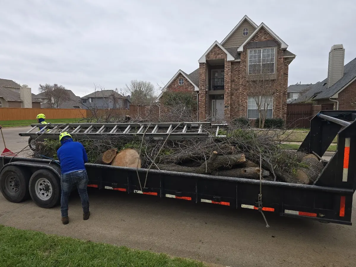Expert Tree Pest Control with proper safety equipment in Wellborn